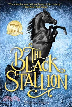 The black stallion