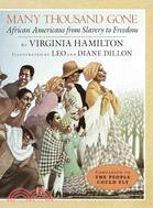 Many Thousand Gone ─ African Americans from Slavery to Freedom