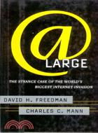 AT LARGE: THE STRANGE CASE OF THE WORLD'S BIGGEST INTERNET INVASION