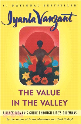 The Value in the Valley ─ A Black Woman's Guide Through Life's Dilemmas