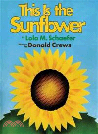 This is the sunflower /