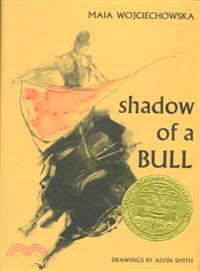 Shadow of a bull