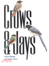 Crows and Jays