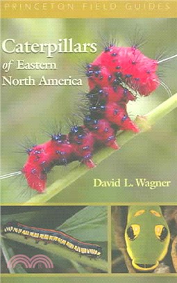 Caterpillars Of Eastern North America ─ A Guide To Identification And Natural History