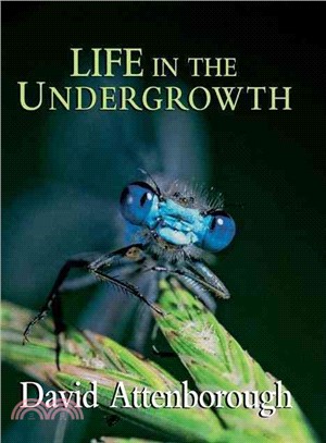 Life in the Undergrowth