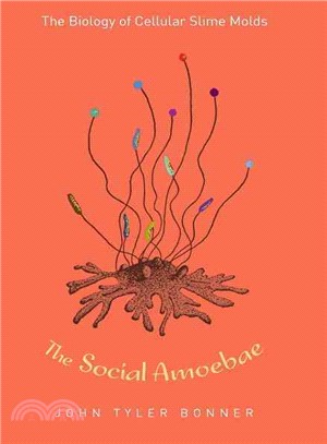 The Social Amoebae — The Biology of Cellular Slime Molds