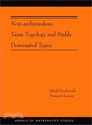 Non-Archimedean Tame Topology and Stably Dominated Types