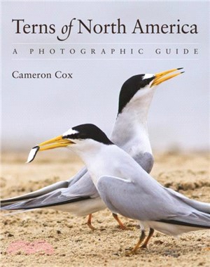 Terns of North America：A Photographic Guide