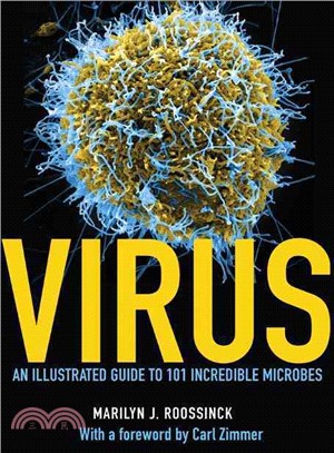 Virus ― An Illustrated Guide to 101 Incredible Microbes