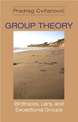 Group Theory：Birdtracks, Lie's, and Exceptional Groups