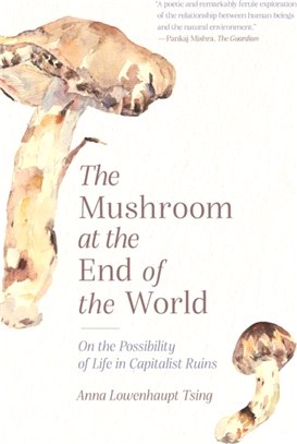 The Mushroom at the End of the World：On the Possibility of Life in Capitalist Ruins