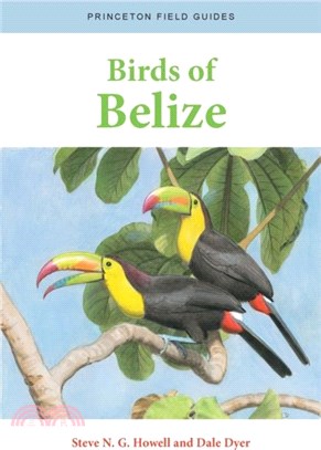 Birds of Belize