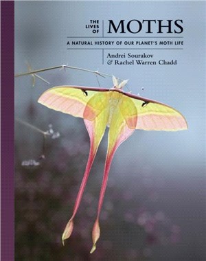 The lives of moths :a natura...