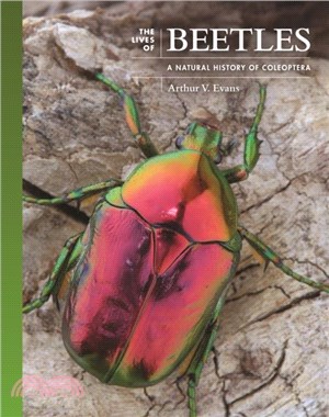 The lives of beetles :a natu...