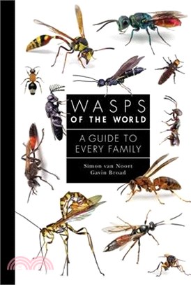 Wasps of the World: A Guide to Every Family