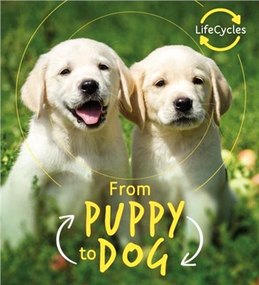 Lifecycles - Pup To Dog