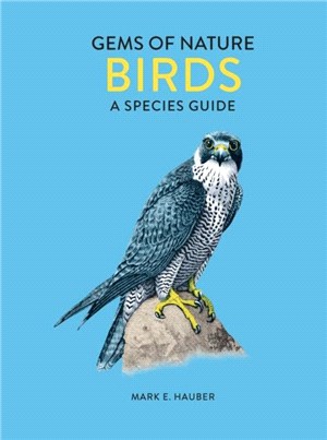Birds：A Species Guide