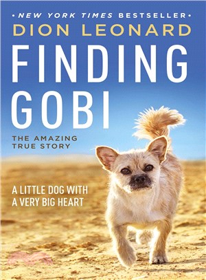 Finding Gobi ─ A Little Dog With a Very Big Heart