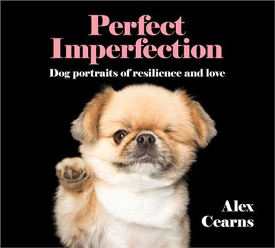 Perfect Imperfection ― Dog Portraits of Resilience and Love