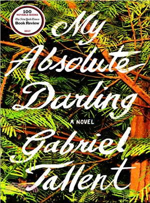 My absolute darling :a novel /