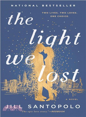 The light we lost /
