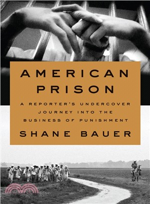 American Prison ― A Reporter's Undercover Journey into the Business of Punishment