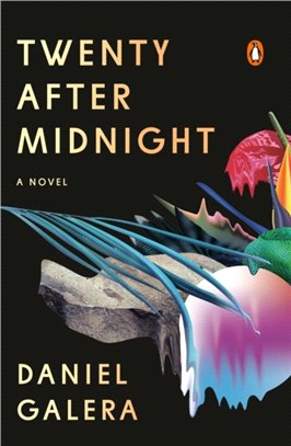 Twenty After Midnight：A Novel