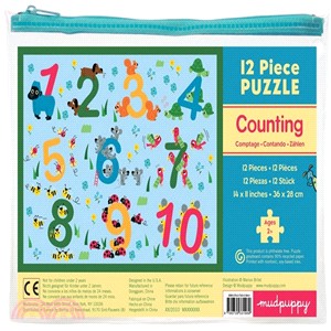 Counting Pouch Puzzle