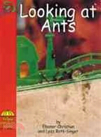 Looking at Ants