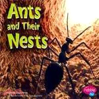 Ants and Their Nests