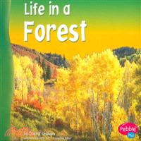 Life in a Forest