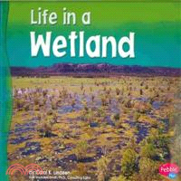 Life in a Wetland