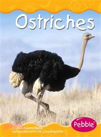 Ostriches