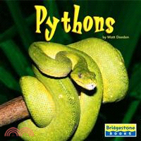 Pythons