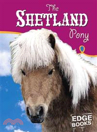 The Shetland Pony