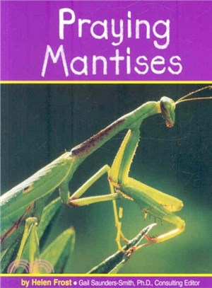 Praying Mantises