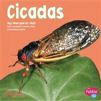 Cicadas