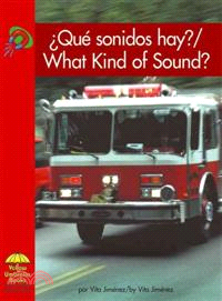 Que Sonidos Hay?/what Kind of Sound?