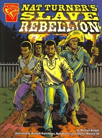 Graphic History: Nat Turner's Slave Rebellion