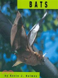 Bats