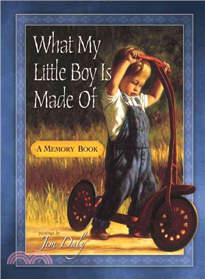 What My Little Boy Is Made Of ─ A Memory Book