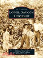 Lower Saucon Township, Pa