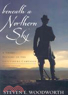 Beneath a Northern Sky ─ A Short History of the Gettysburg Campaign