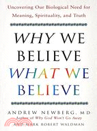 Why We Believe What We Believe: Our Biological Need for Meaning, Spirituality, and Truth
