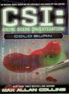 CSI:COLD BURN
