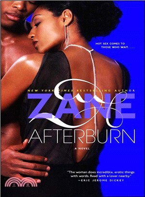 Afterburn ─ A Novel