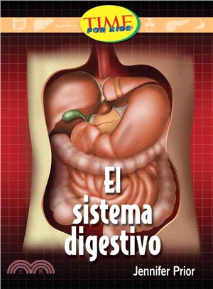 El sistema digestivo / The Digestive System