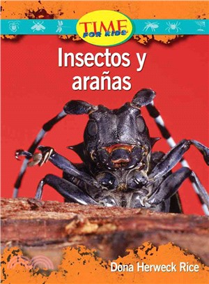 Insectos y aranas / Insects and Spiders