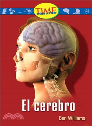 El cerebro / The Brain