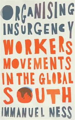 Organizing Insurgency: Workers' Movements in the Global South